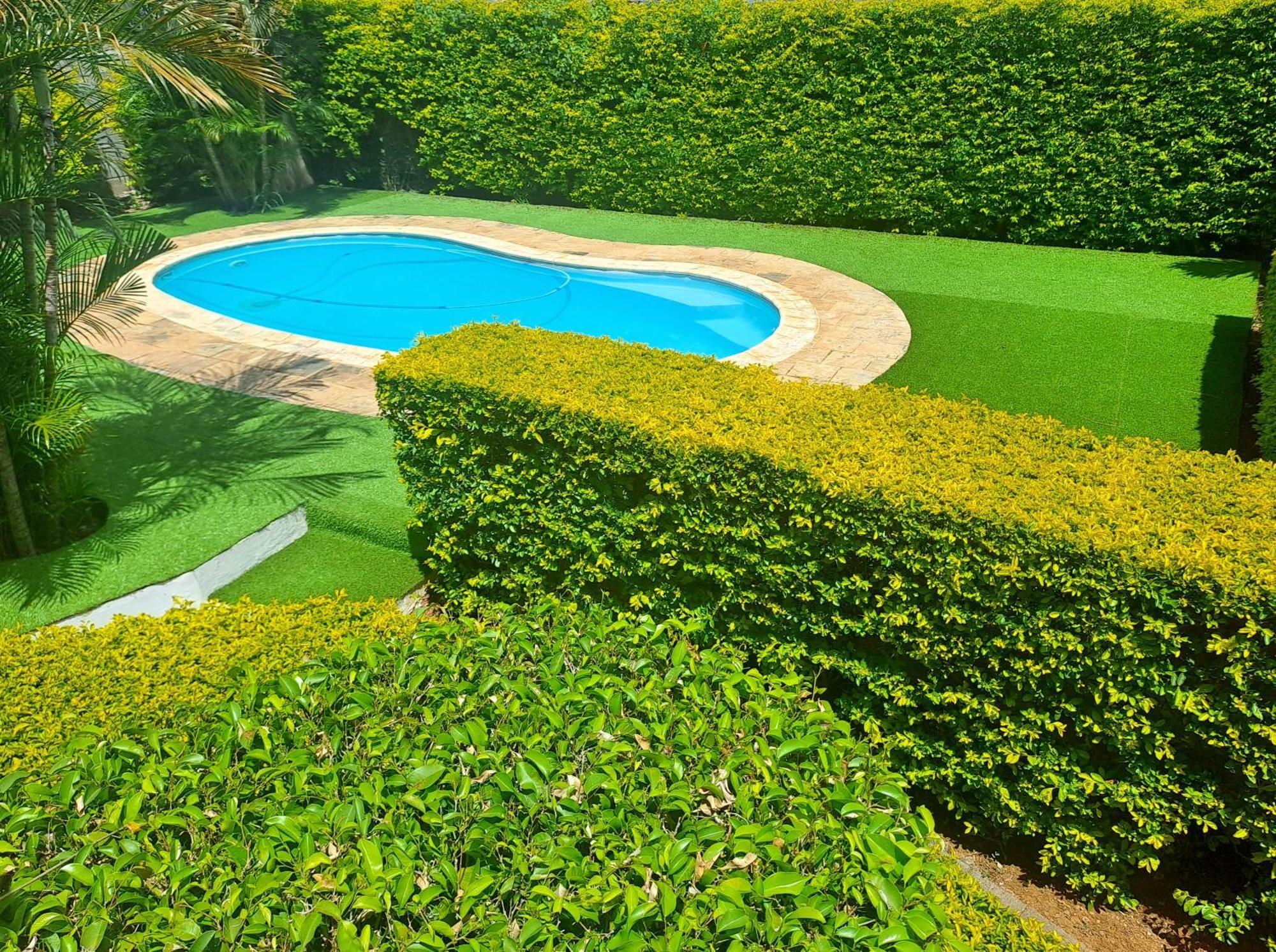 Appartement Paisible Avec Jardin & Piscine Albion Exterior photo